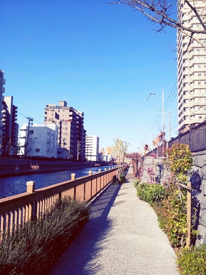 小名木川　散歩
